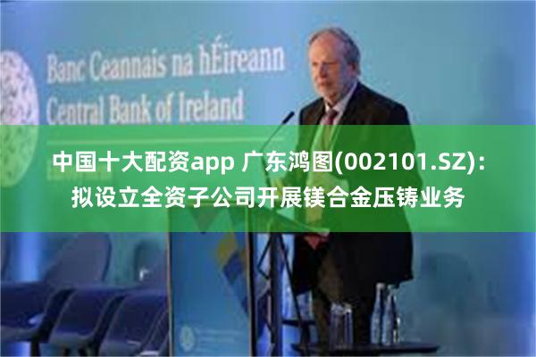 中国十大配资app 广东鸿图(002101.SZ)：拟设立全资子公司开展镁合金压铸业务