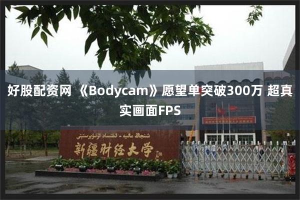 好股配资网 《Bodycam》愿望单突破300万 超真实画面FPS