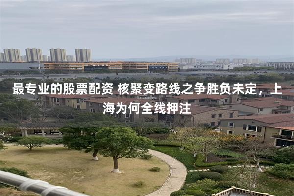 最专业的股票配资 核聚变路线之争胜负未定，上海为何全线押注