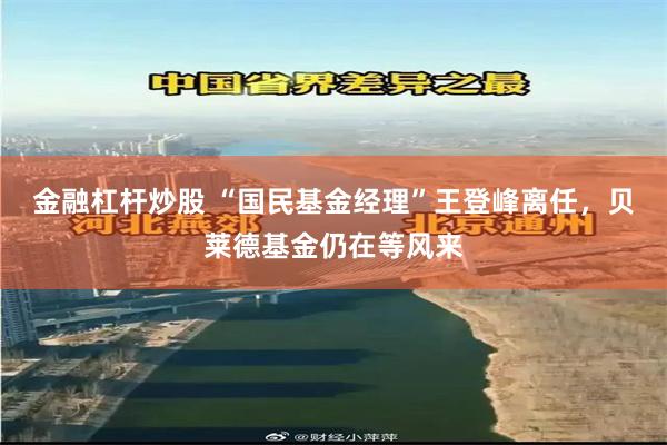 金融杠杆炒股 “国民基金经理”王登峰离任，贝莱德基金仍在等风来