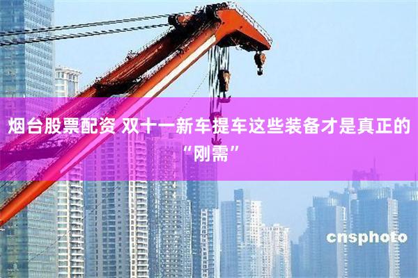 烟台股票配资 双十一新车提车这些装备才是真正的“刚需”