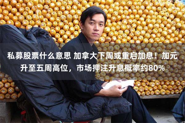 私募股票什么意思 加拿大下周或重启加息！加元升至五周高位，市场押注升息概率约80%
